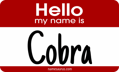 Hello my name is Cobra png download