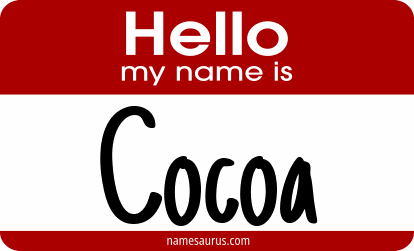Hello my name is Cocoa png download