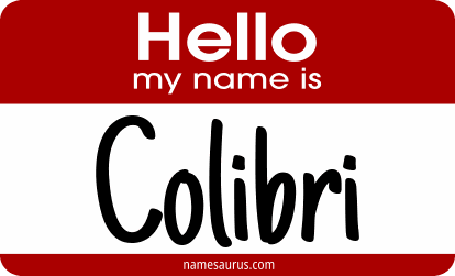 Hello my name is Colibri png download
