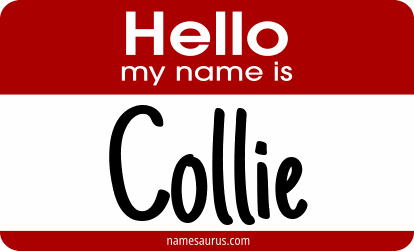 Hello my name is Collie png download
