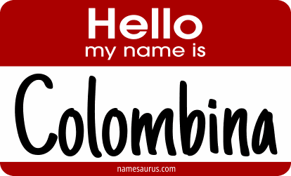 Hello my name is Colombina png download