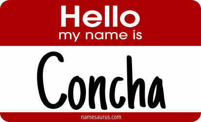 Hello my name is Concha png download