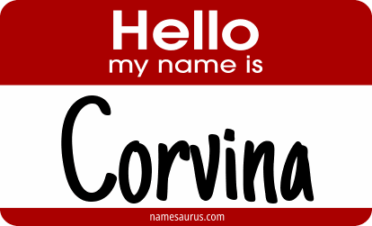 Hello my name is Corvina png download
