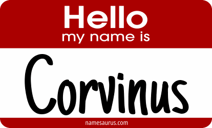 Hello my name is Corvinus png download