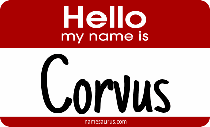 Hello my name is Corvus png download
