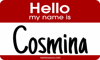 Hello my name is Cosmina png download