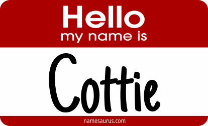 Hello my name is Cottie png download