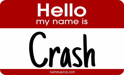 Hello my name is Crash png download