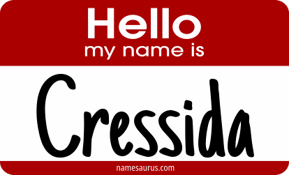 Hello my name is Cressida png download