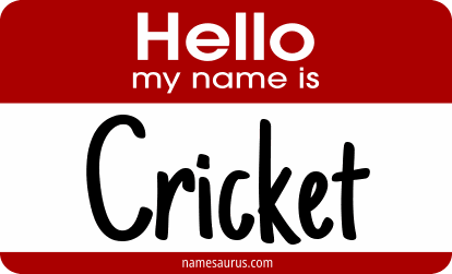 Hello my name is Cricket png download