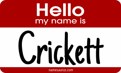 Hello my name is Crickett png download