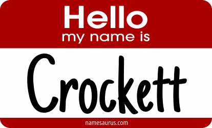 Hello my name is Crockett png download
