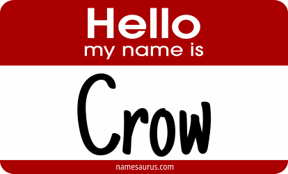Hello my name is Crow png download