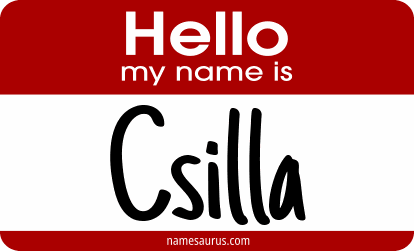 Hello my name is Csilla png download