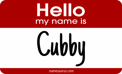 Hello my name is Cubby png download