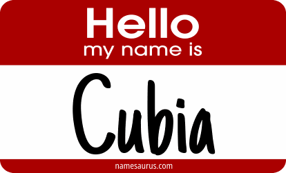 Hello my name is Cubia png download