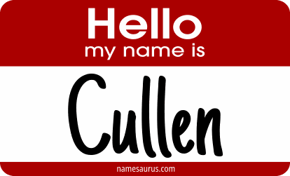 Hello my name is Cullen png download