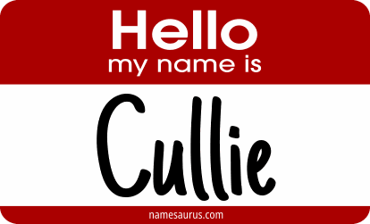 Hello my name is Cullie png download
