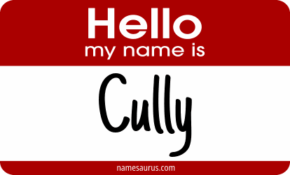 Hello my name is Cully png download
