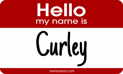 Hello my name is Curley png download