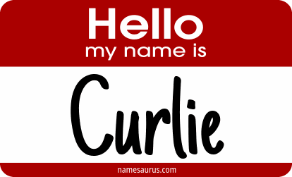 Hello my name is Curlie png download