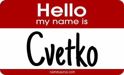 Hello my name is Cvetko png download