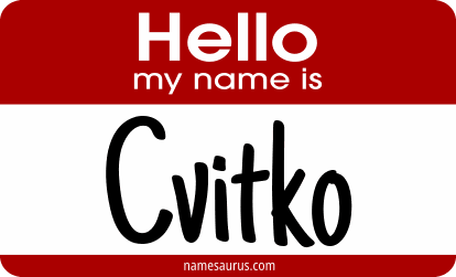 Hello my name is Cvitko png download