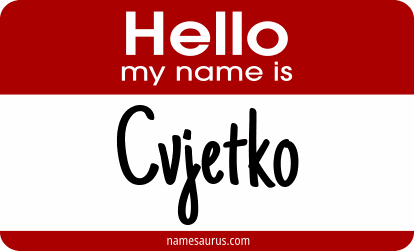 Hello my name is Cvjetko png download