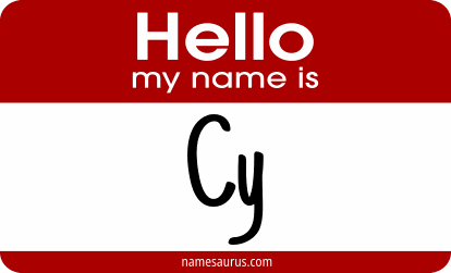 Hello my name is Cy png download