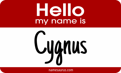 Hello my name is Cygnus png download