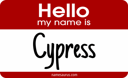 Hello my name is Cypress png download