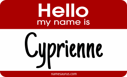 Hello my name is Cyprienne png download