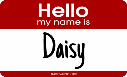 Hello my name is Daisy png download