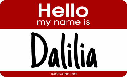 Hello my name is Dalilia png download
