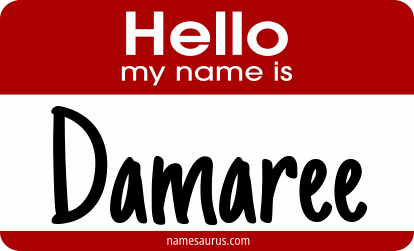 Hello my name is Damaree png download