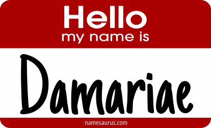 Hello my name is Damariae png download