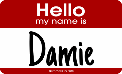 Hello my name is Damie png download