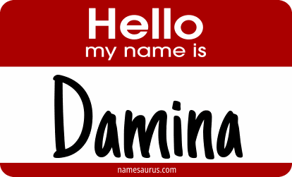Hello my name is Damina png download