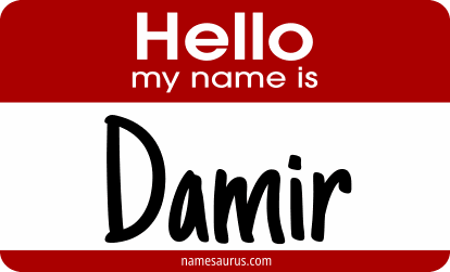 Hello my name is Damir png download