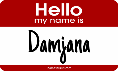 Hello my name is Damjana png download