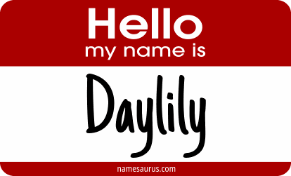 Hello my name is Daylily png download