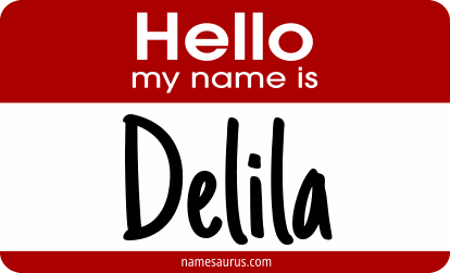 Hello my name is Delila png download