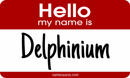 Hello my name is Delphinium png download