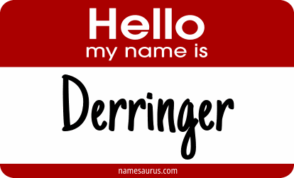 Hello my name is Derringer png download