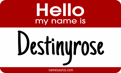 Hello my name is Destinyrose png download