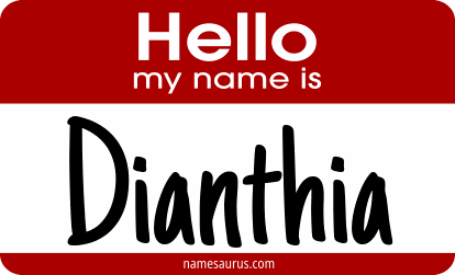 Hello my name is Dianthia png download