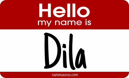Hello my name is Dila png download