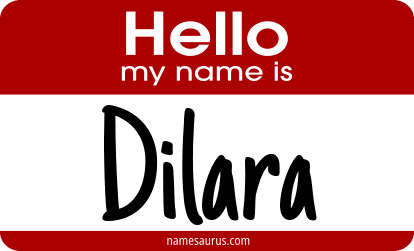 Hello my name is Dilara png download
