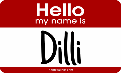 Hello my name is Dilli png download