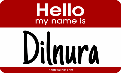 Hello my name is Dilnura png download